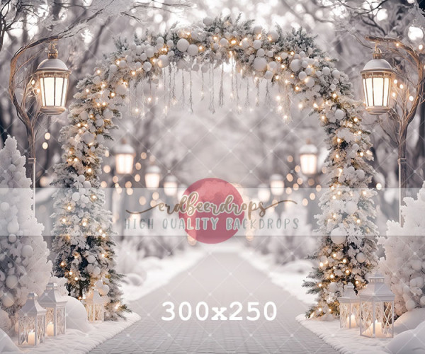 "Winterleuchten" Backdrop Winter / Weihnachten ed-f-2515