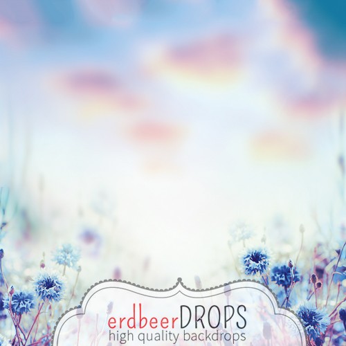 ed-b-099