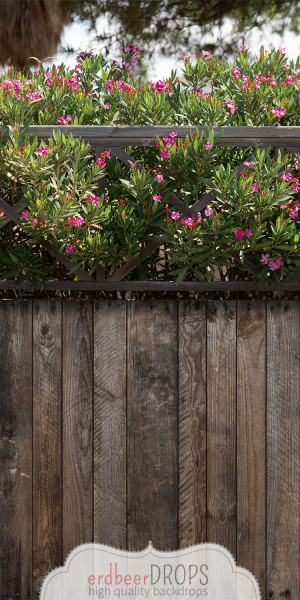 Foto Hintergrund, Boho, Frühling, Sommer, Blüten mit Geländer