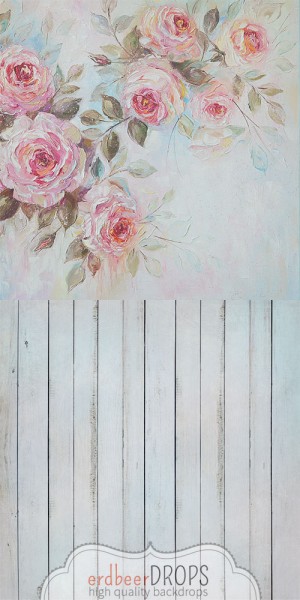 Backdrop ed-h-587