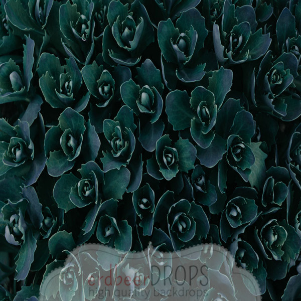 Fotografie Hintergrund Stoff ed-x-018