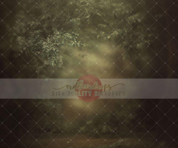 "Woodland Glow", Studiohintergrund mit Wald, ed-b-297