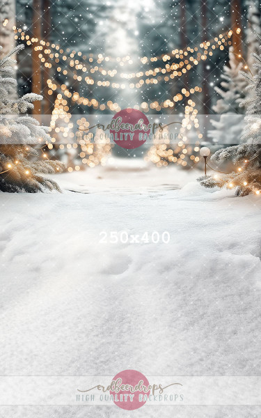 "Everlight Forest" Kombi Backdrop Winter / Weihnachten ed-f-2513