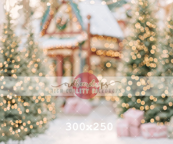 "Weihnachtsdorf" Backdrop Winter / Weihnachten ed-f-2507