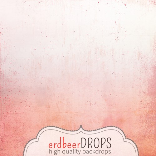 ed-s-001
