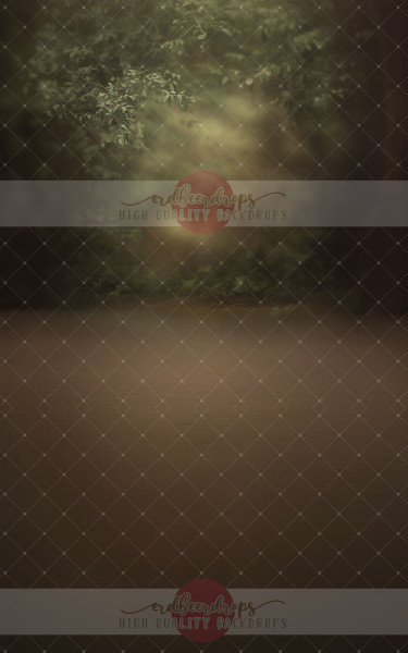 "Woodland Glow", Kombi-Studiohintergrund mit Wald, ed-b-297-Copy