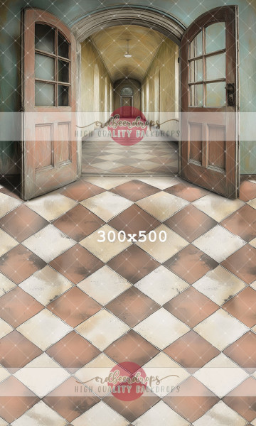 Kombi Studiohintergrund ed-h-779 "Old School Hallway 2"