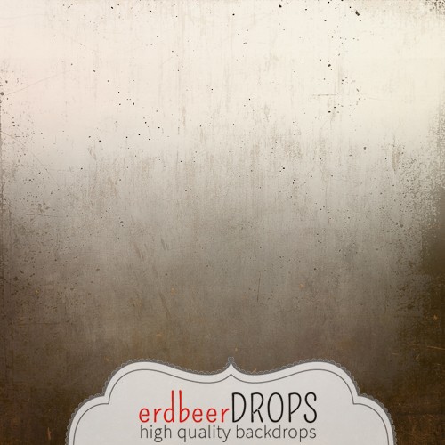 ed-s-008