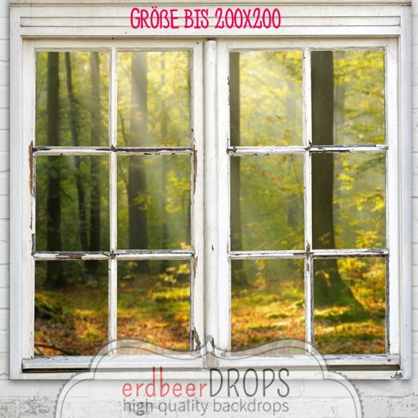 Backdrop ed-a-025, Fenster mit Wald