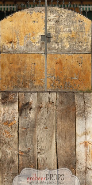 Backdrop ed-h-603