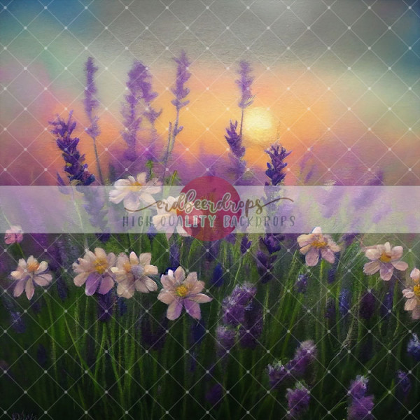 Backdrop ed-b-236 Spring, Lavendel Blüten bei Sonnenuntergang